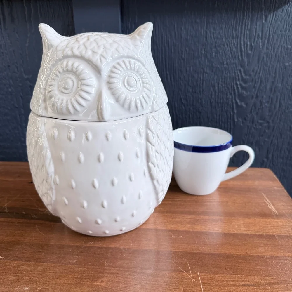 West Elm Owl Cookie Jar Canister White Ceramic Excellent Textured Feather Detail